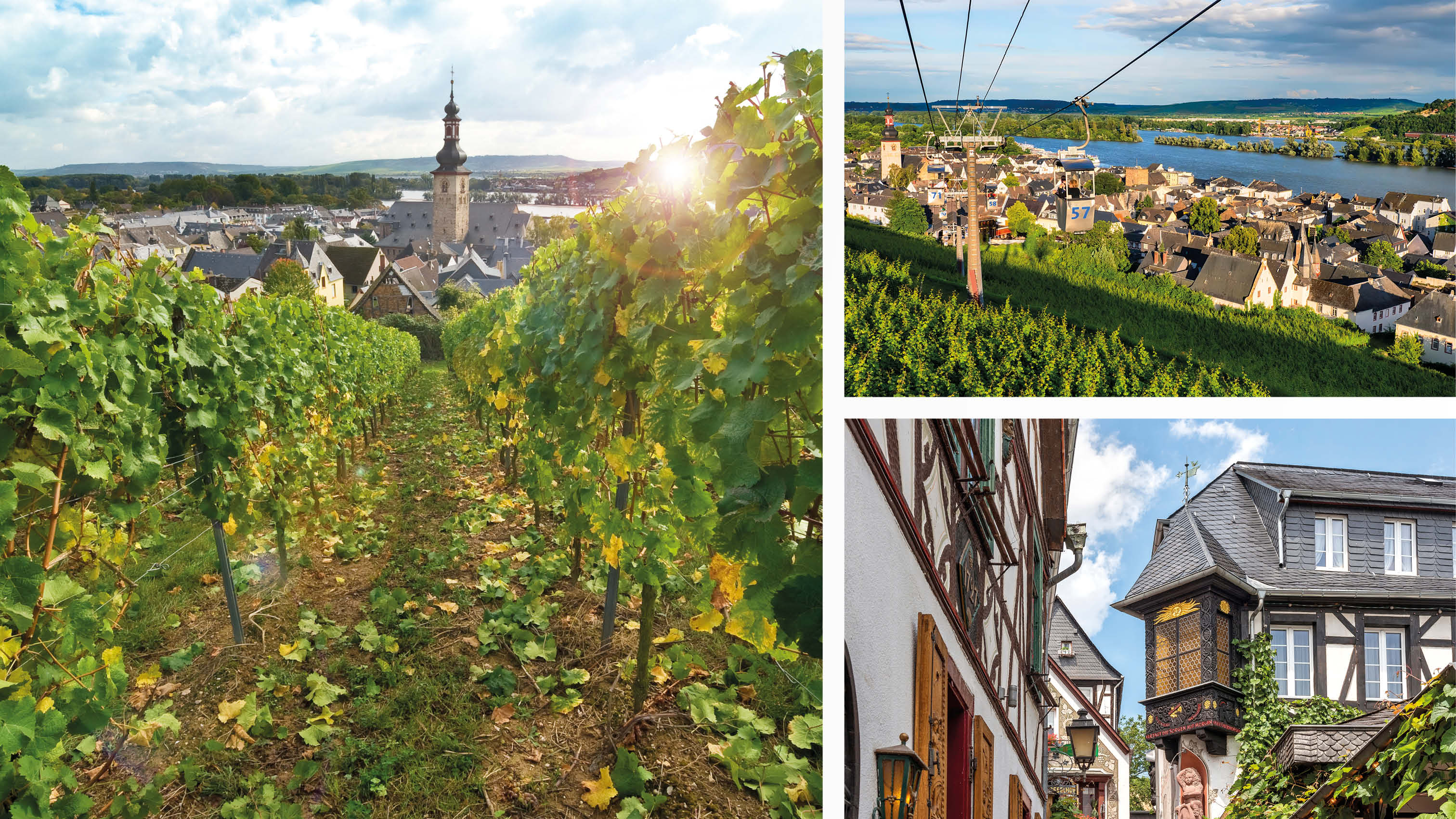 Onsdag 27. oktober - Boppard, Lorelei-klippa og Rüdesheim